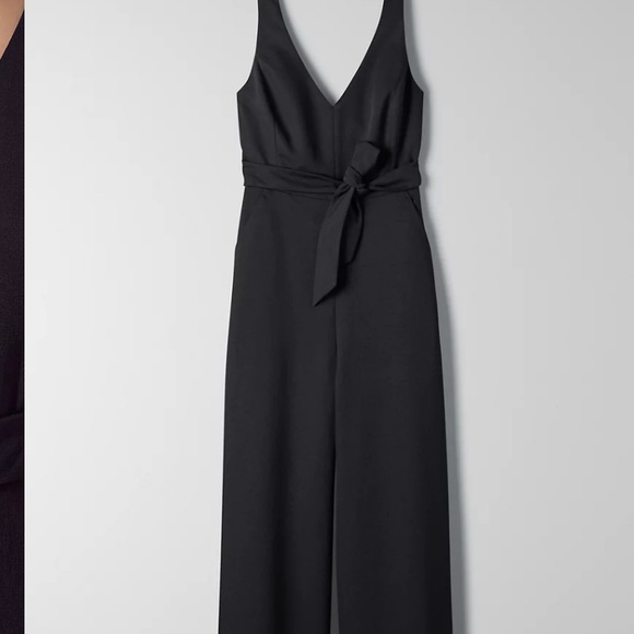 Aritzia jumpsuit (Wilfred) - Picture 5 of 5